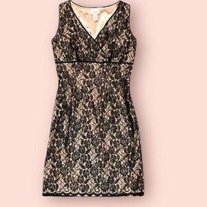 Gorgeous Anne Taylor Loft black floral lace over gold sheath. Size 2